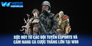Suc Hut Tu Cac Doi Tuyen eSports Va Cam Nang Ca Cuoc Thang Lon Tai W88